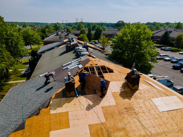 Roof Gutter Cleaning in Shorewood Tower Hills Harbert, MI