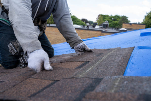 Best Best Roofing Contractors  in Shorewood Tower Hills Harbert, MI