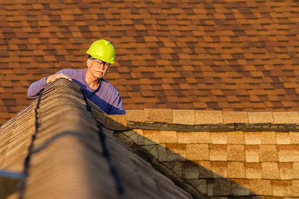 Best Roof Gutter Cleaning  in Shorewood Tower Hills Harbert, MI